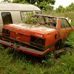 Profile Picture of 🇯🇵 (@nippon_rot) on Instagram