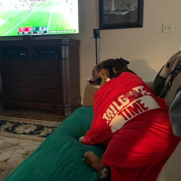 Profile Picture of Michael Fain (@namesfain) on Poshmark