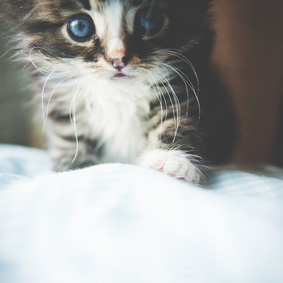 Michael Shultz - Twitter Profile Picture of Michael Shultz (@MichaelShultz5) on Twitter