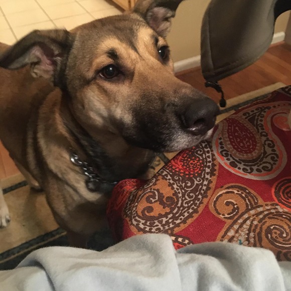 Profile Picture of Amanda Mumm (@amumm05) on Poshmark