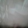 Profile Picture of user7128416543559 (@@lisatroyer03) on Tiktok