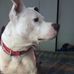 Profile Picture of Herbert Martin (@herbert.martin.370) on Facebook