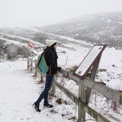 Profile Picture of Mandy Chau (@MingMandy9575) on Twitter