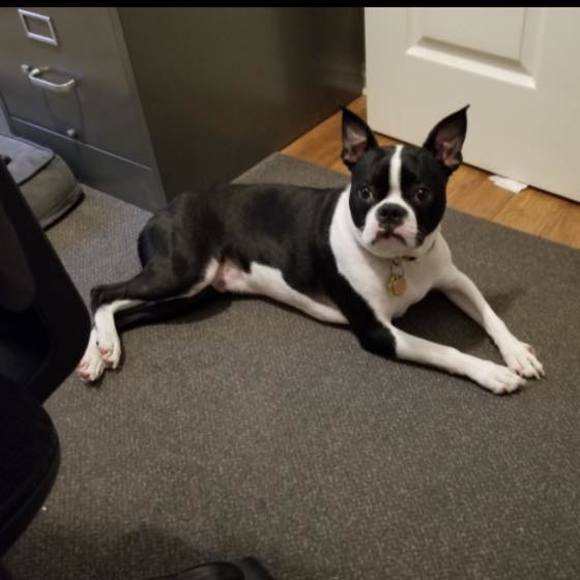 Profile Picture of Elizabeth Schultz (@schultz507) on Poshmark