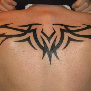 Profile Picture of Chris Veach (@kyfan0788) on Myspace