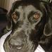 Profile Picture of Norman Clayton (@norman.clayton.9) on Facebook