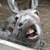 Profile Picture of Christopher Constable (@christopher.constable.39) on Facebook