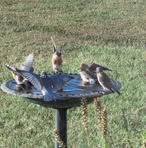 Profile Picture of Sue Gammon (@jim.gammon.7) on Facebook