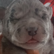 Profile Picture of Odette Rodriguez Mariscal (@odetterodriguezmariscal2759) on Youtube