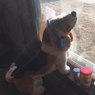 Profile Picture of Joe Vassar (@JoeJvassar) on Twitter