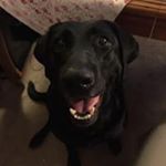 Profile Picture of Jenny Swift (@jenny92771) on Instagram