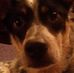 Profile Picture of Steven Franzmann (@steve.franzmann.9) on Facebook