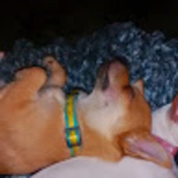 Profile Picture of Kaleigh Scott (@kayelis12) on Poshmark