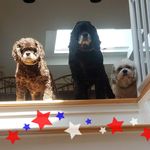 Profile Picture of Mathew Cogswel (@cogswel) on Instagram