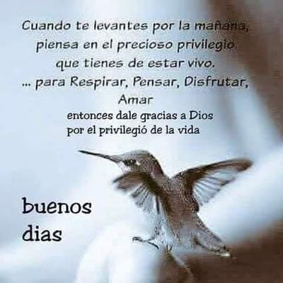 Profile Picture of Elba Mendez (@elbamendezc) on Twitter
