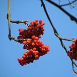 Profile Picture of Peter (@peterflettona7) on Instagram