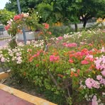 Profile Picture of Cristal Ramirez (@mariana200217) on Facebook