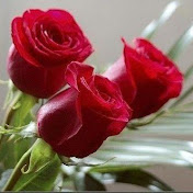 Profile Picture of Ashoo Sharma (@ashoosharma5390) on Youtube