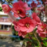 Profile Picture of Barbara Kiefer (@barbaralkiefer) on Instagram