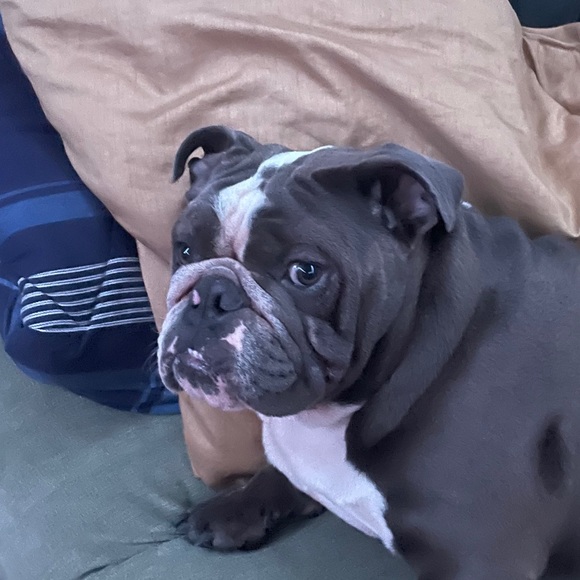 Profile Picture of Jeremiah Jefferson (@jeremiahjeff761) on Poshmark