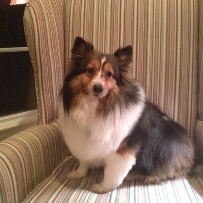 Profile Picture of Jean Bernhardt (@jbernhardt55) on Twitter