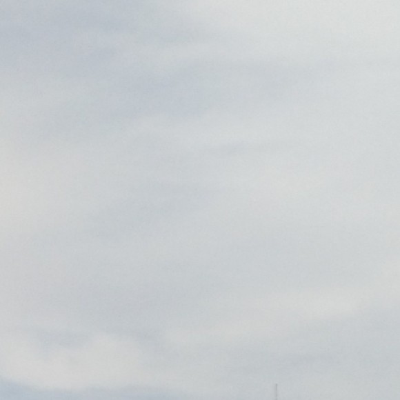 Profile Picture of Susana Ferreira (@susanaferrei940) on Poshmark