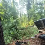 Profile Picture of Clint Boyer (@Clint-Boyer) on Facebook