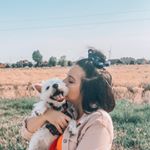 Profile Picture of Westie Lucy (@lucynolandia) on Instagram