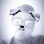 Andrew Mauriello - Instagram Profile Picture of Andrew Mauriello (@mdr3w.10) on Instagram