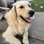 Profile Picture of Alice Garneau (@Alice-Garneau) on Facebook