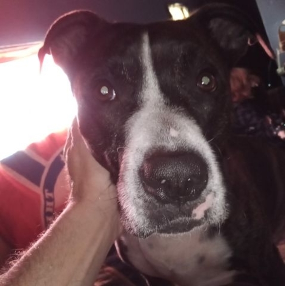 Profile Picture of Robert Denton (@robertdenton238) on Poshmark