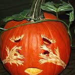 Profile Picture of James Olthouse (@james.olthouse) on Facebook