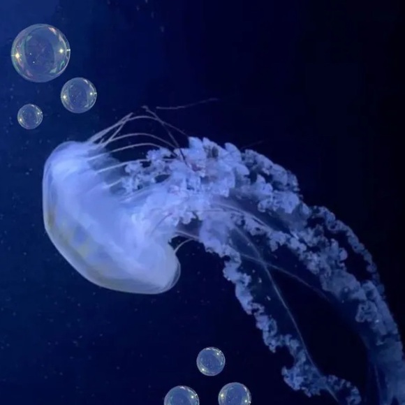 Baiyok Sukterm - Poshmark Profile Picture of Baiyok Sukterm (@baiyok) on Poshmark