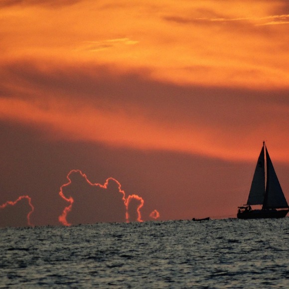 Profile Picture of Kevin Catt (@cattkevin) on Poshmark