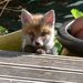 Profile Picture of Florence Angelo (@floalley) on Pinterest