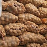 Profile Picture of Agen Kentang Tangan Pertama (@agenkentangtangsel) on Instagram