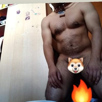 Profile Picture of Perro_pendejo (@Toby_max_Zeus) on Twitter