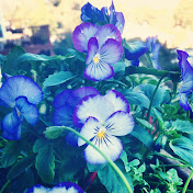 Profile Picture of Winston Schultz (@winstisim) on Youtube