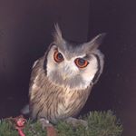 Profile Picture of volg nieuw account @mark_stolp (@volgnieuwaccmark_stolp) on Instagram