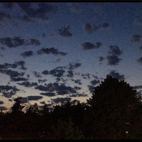 Profile Picture of Anahi Hehernandez (@hernandez03724) on Poshmark