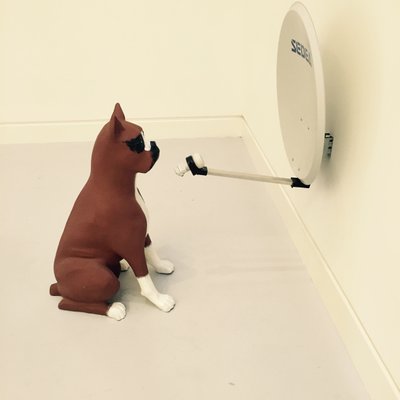 Profile Picture of Stuart Wilson (@Stoo_Wilson) on Twitter