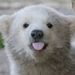 Profile Picture of Cecily Page (@cecily0986) on Pinterest