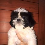 Profile Picture of Jacob Ringor (@jacob.ringor.2025) on Facebook