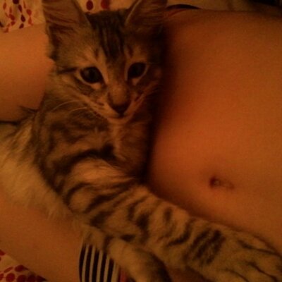 Profile Picture of James Ferret (@James_Look_At) on Twitter