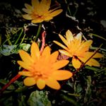 Profile Picture of Evajoyce (@evajoyce_photos) on Instagram