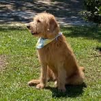 Profile Picture of Tina Sharkey (@tina.sharkey.942) on Facebook