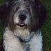 Profile Picture of Barbara MacDougall (@barbara.macdougall.739) on Facebook
