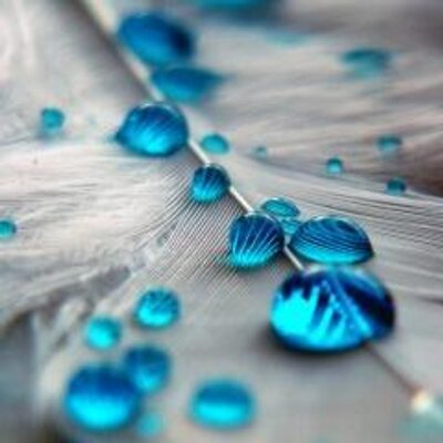 Profile Picture of Sarah Joshi (@SaraJoshhi) on Twitter