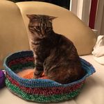 Profile Picture of Michaela Markwardt (@markwardm001) on Instagram