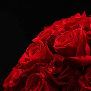 Profile Picture of Susan Deema (@susan.deema) on Facebook